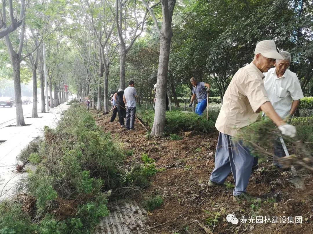 国家生态园林城市创建工作进入攻坚阶段