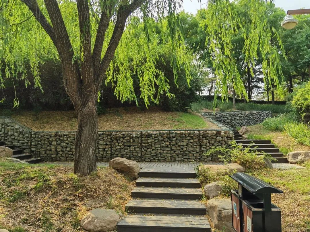 园林工法 | 石笼