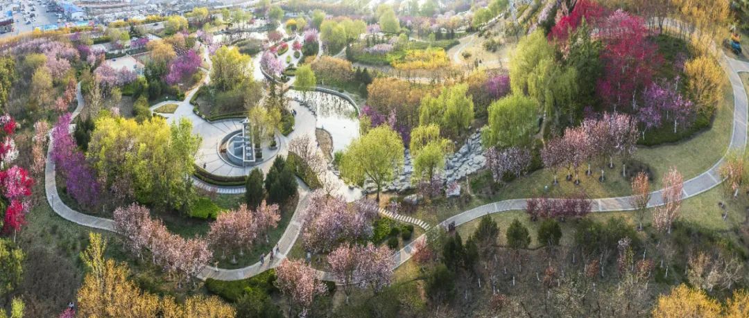 学习贯彻党的二十大精神寿光市第二届“四季园林”摄影大赛作品展示（五）