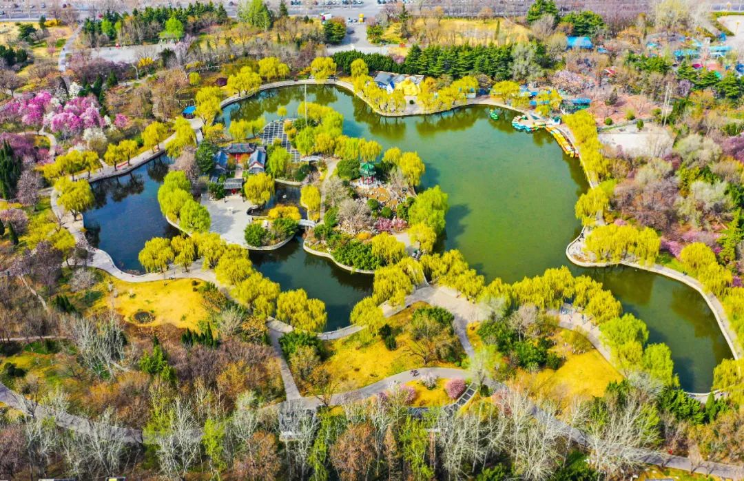 学习贯彻党的二十大精神寿光市第二届“四季园林”摄影大赛作品展示（一）