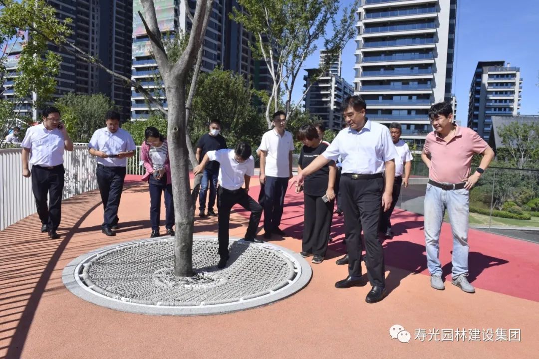 寿光园林建设集团：学习建管新理念 对标先进促提升