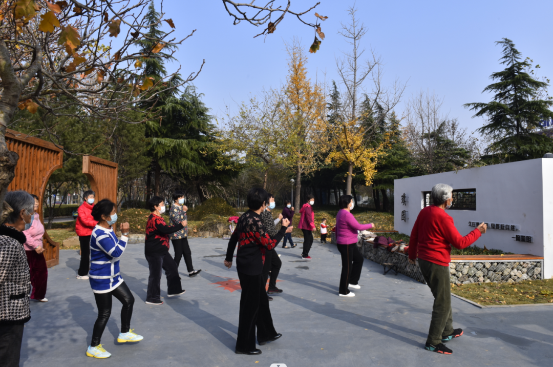 寿光园林建设集团：新增10处“口袋公园”兜起群众幸福生活