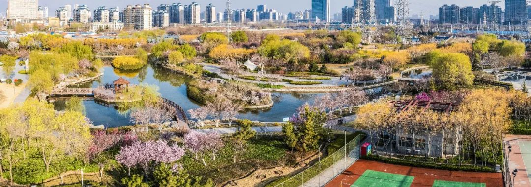 学习贯彻党的二十大精神寿光市第二届“四季园林”摄影大赛作品展示（三）