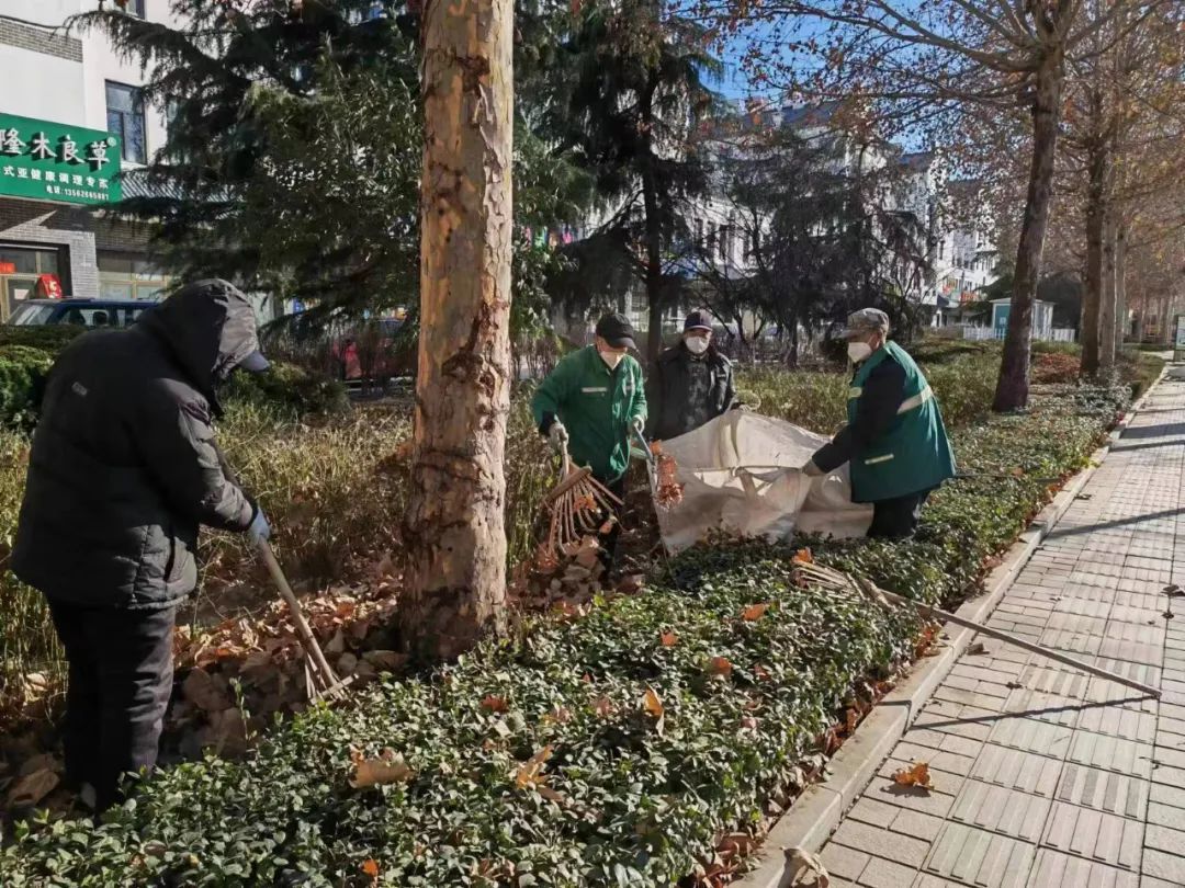 寿光园林建设集团：冬季养护不松懈 数九寒天忙不停