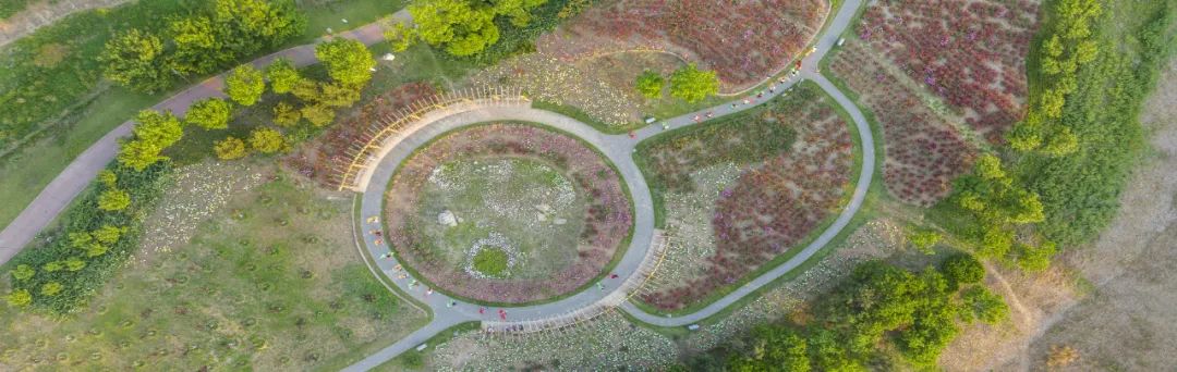 学习贯彻党的二十大精神寿光市第二届“四季园林”摄影大赛作品展示（一）
