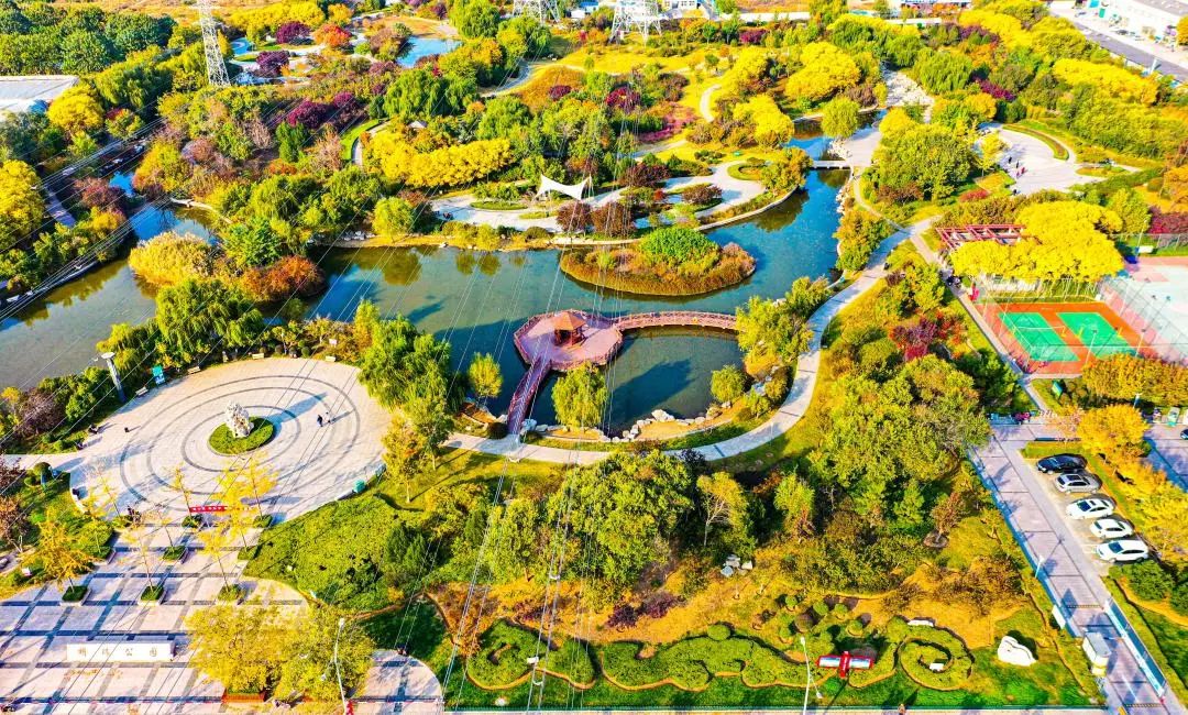 学习贯彻党的二十大精神寿光市第二届“四季园林”摄影大赛作品展示（六）