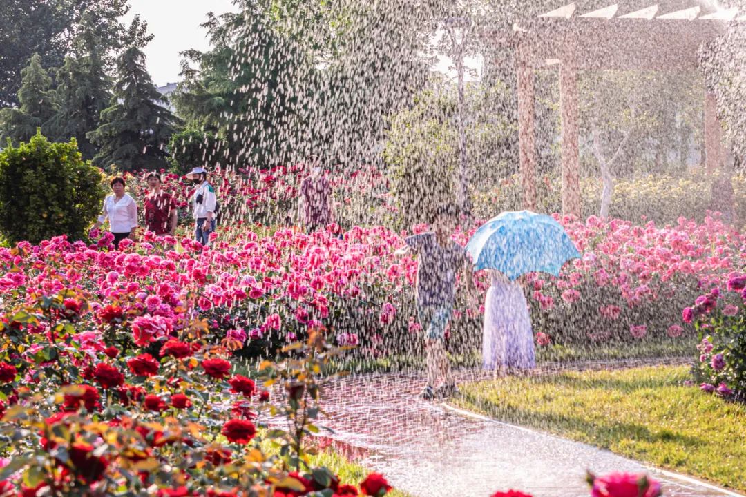 学习贯彻党的二十大精神寿光市第二届“四季园林”摄影大赛作品展示（一）