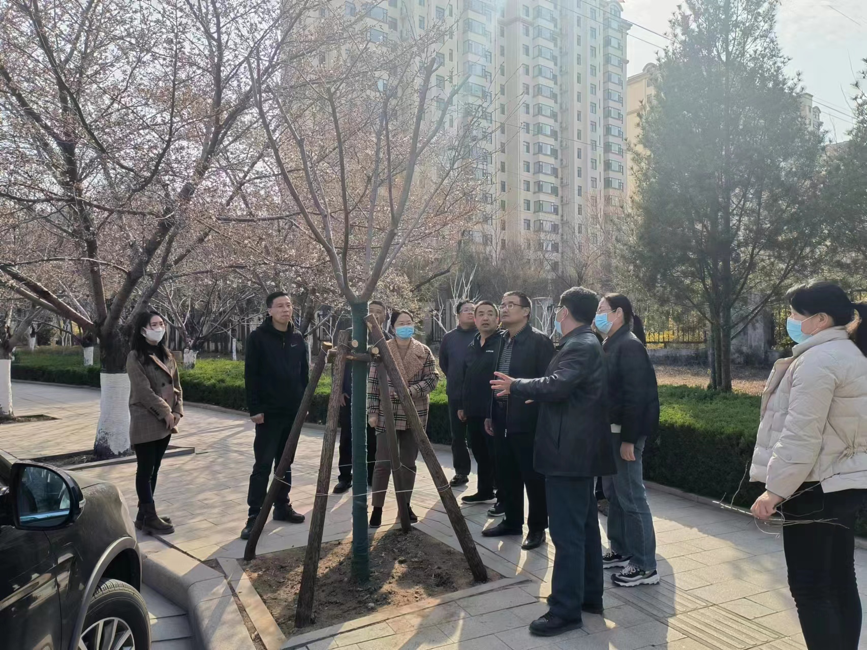 “三看三比”争一流 | 寿光园林建设集团：召开春季绿化补植专题现场会 掀起绿化栽植新高潮