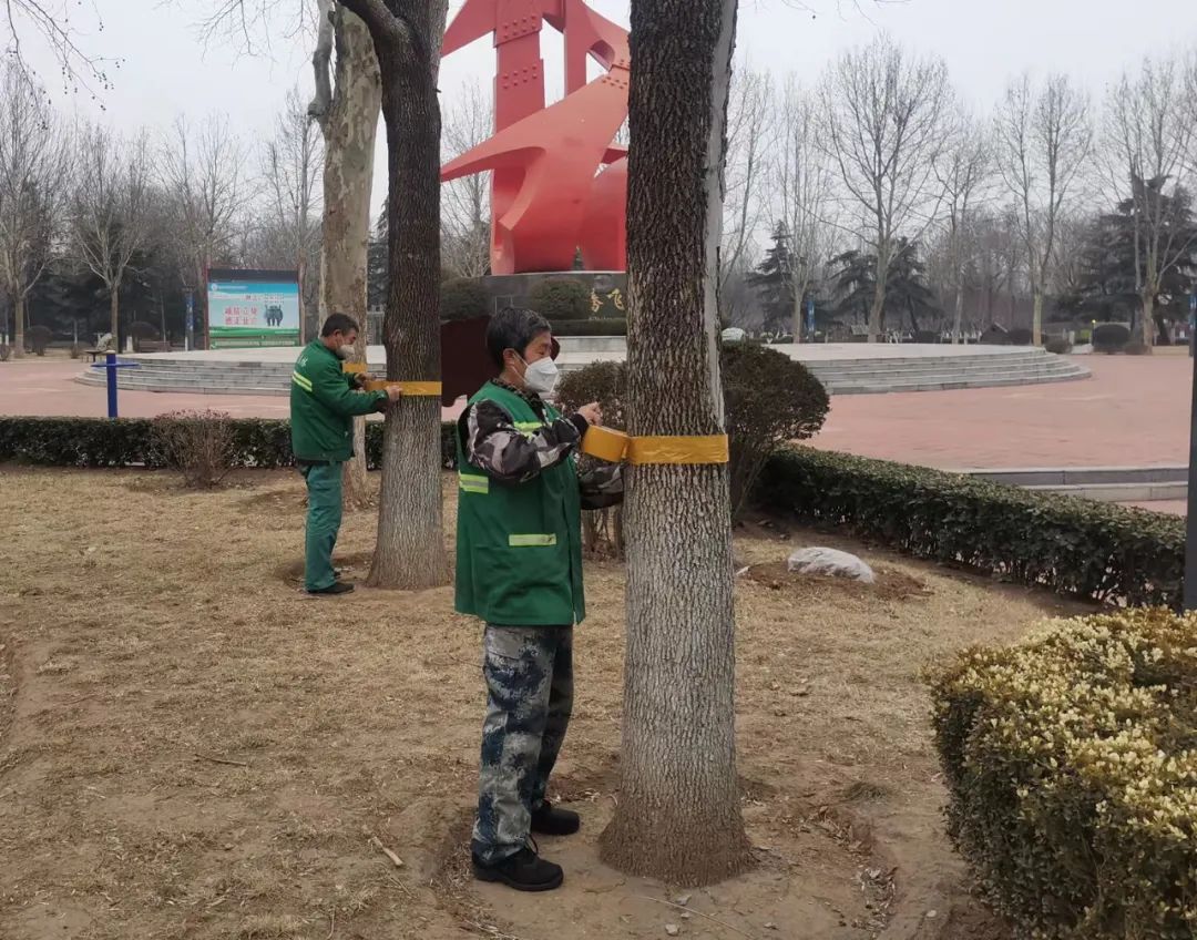 寿光园林建设集团：抢抓先机 全面启动春季绿化养护管理