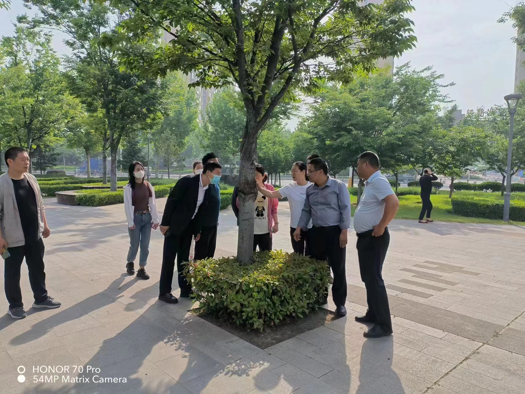 “三看三比”争一流 | 寿光园林建设集团：绿化交流评比助推精细化养管水平再提升